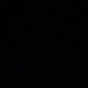 Meet your Posher, Patty